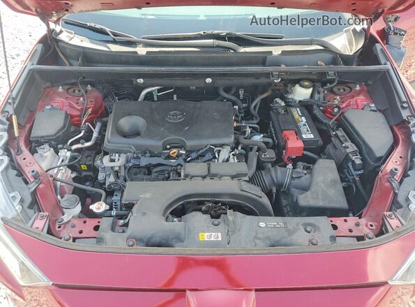 2T3W1RFV5LC039151 2020 TOYOTA RAV4 Burgundy Սալոնի հետևի տեսք