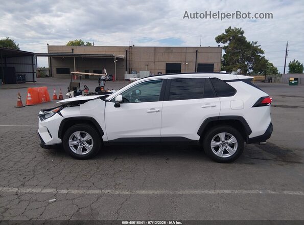 2T3W1RFV5LW074125 2020 TOYOTA RAV4 White 