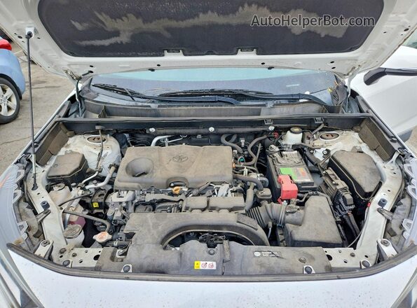 2T3W1RFV5LW081544 2020 TOYOTA RAV4 White უკანა სალონის ხედი