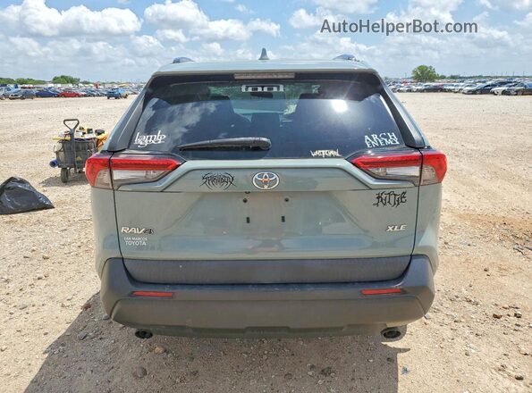 2T3W1RFV5LW097310 2020 TOYOTA RAV4 Gray უკანა ხედი