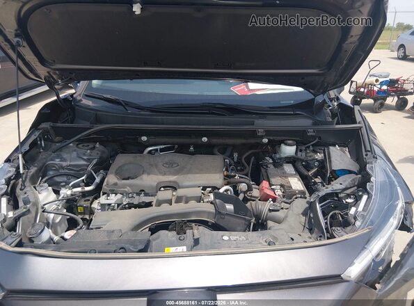 2T3W1RFV5PW294306 2023 TOYOTA RAV4 Gray Widok z tyłu