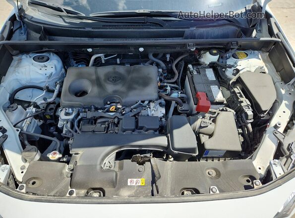2T3W1RFV5RC295086 2024 TOYOTA RAV4 Белый Вид задней части салона