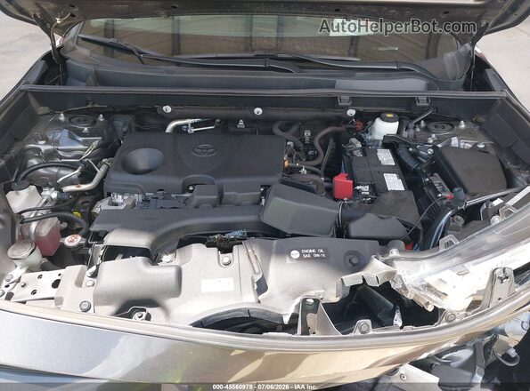 2T3W1RFV6PC232737 2023 TOYOTA RAV4 Gray Вид ззаду