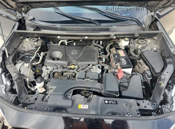 2T3W1RFV6PW251027 2023 TOYOTA RAV4 Black 