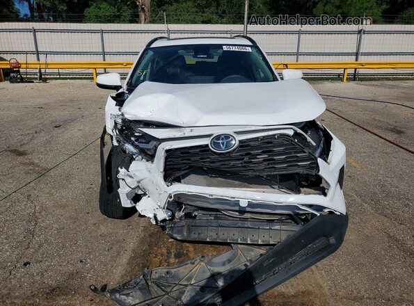 2T3W1RFV6PW278826 2023 TOYOTA RAV4 White Դիմացի տեսք