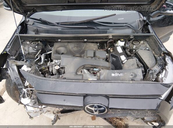 2T3W1RFV6RC289913 2024 TOYOTA RAV4 Black Widok z tyłu