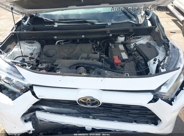 2T3W1RFV6RW303128 2024 TOYOTA RAV4 White Հետևի տեսք