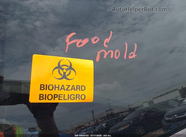 2T3W1RFV6SW414297 2025 TOYOTA RAV4 Silver Вид задніх сидінь