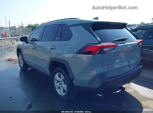 2T3W1RFV8KW012037 2019 TOYOTA RAV4 Pewter Задня ліва чверть