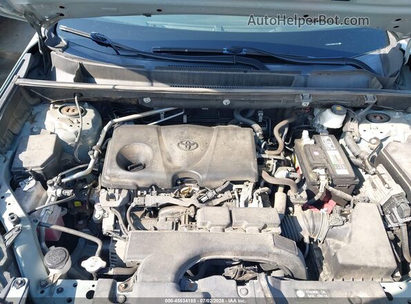 2T3W1RFV8KW012037 2019 TOYOTA RAV4 Pewter Вид ззаду