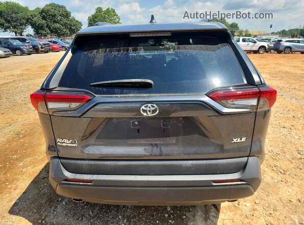 2T3W1RFV8LC055487 2020 TOYOTA RAV4 Gray Հետևի տեսք
