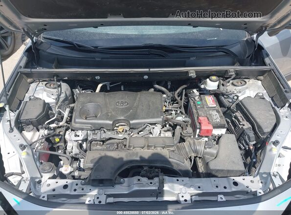 2T3W1RFV8LW082218 2020 TOYOTA RAV4 Серый Вид сзади