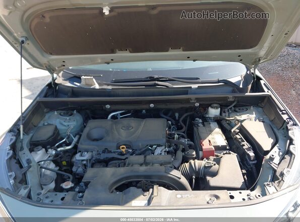 2T3W1RFV9MW185049 2021 TOYOTA RAV4 Gray Widok z tyłu