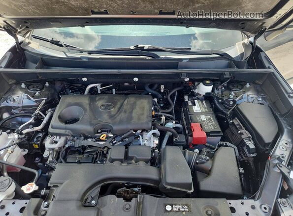 2T3W1RFV9RC254461 2024 TOYOTA RAV4 Gray უკანა სალონის ხედი