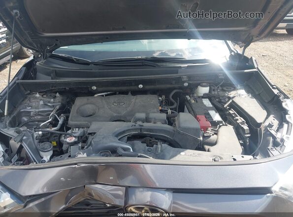 2T3W1RFV9RC256176 2024 TOYOTA RAV4 Gray Vista trasera