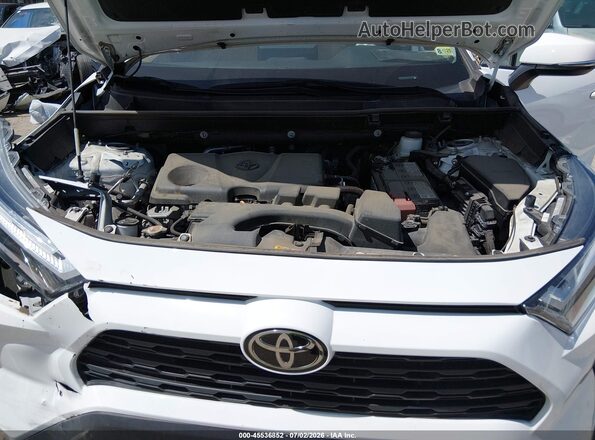 2T3W1RFVXPC230327 2023 TOYOTA RAV4 White Widok z tyłu