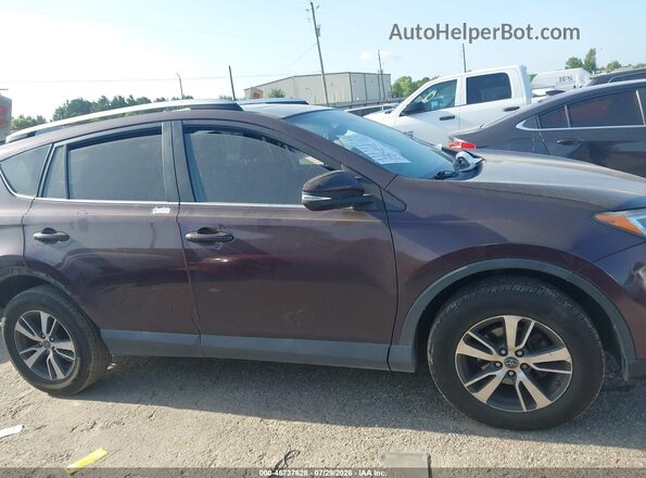 2T3WFREV0GW287539 2016 TOYOTA RAV4 Purple Вид задньої частини салону