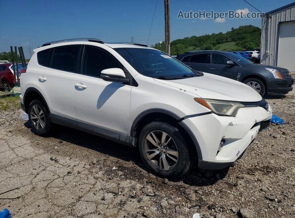 2T3WFREV1GW270491 2016 TOYOTA RAV4 White Przód prawy