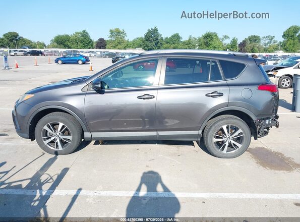 2T3WFREV2GW270340 2016 TOYOTA RAV4 Серый 