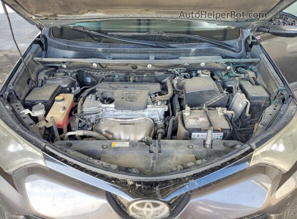 2T3WFREV2JW483909 2018 TOYOTA RAV4 Серый Вид задней части салона