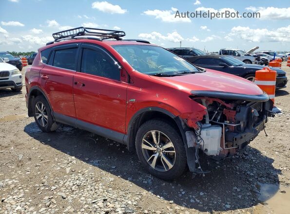 2T3WFREV3GW250615 2016 TOYOTA RAV4 Red Delantero derecho