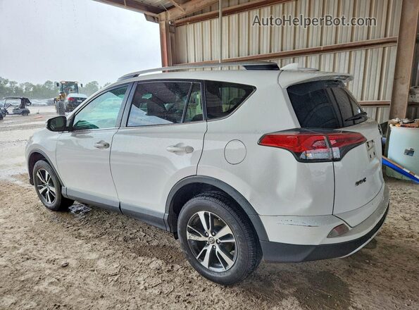 2T3WFREV6GW247367 2016 TOYOTA RAV4 White უკანა მარცხენა
