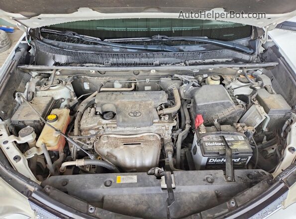 2T3WFREV6GW247367 2016 TOYOTA RAV4 White უკანა სალონის ხედი