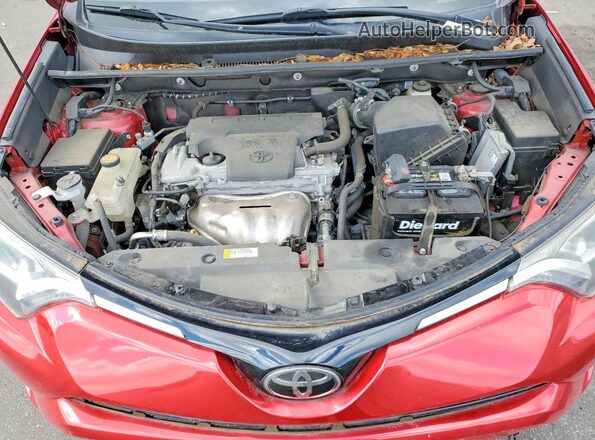 2T3WFREV7HW373514 2017 TOYOTA RAV4 Red Սալոնի հետևի տեսք