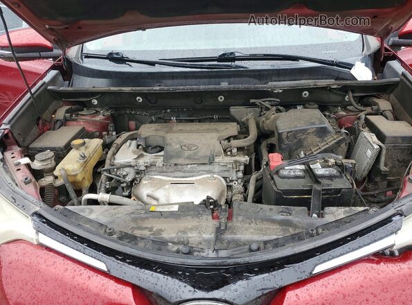 2T3WFREV7JW430283 2018 TOYOTA RAV4 Красный Вид задней части салона