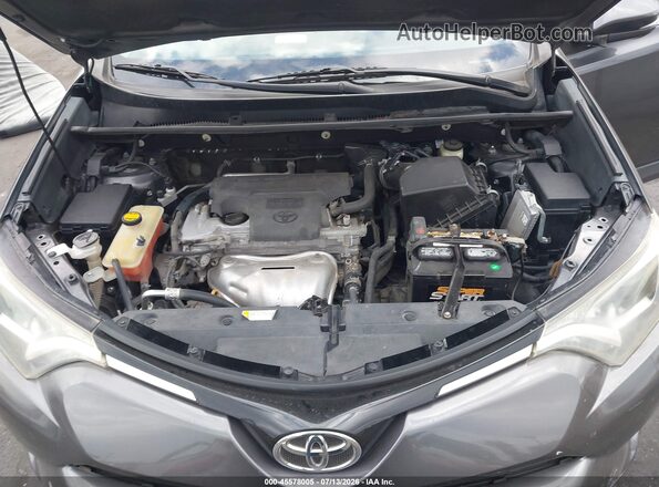 2T3WFREV9GW256791 2016 TOYOTA RAV4 Gray Widok z tyłu