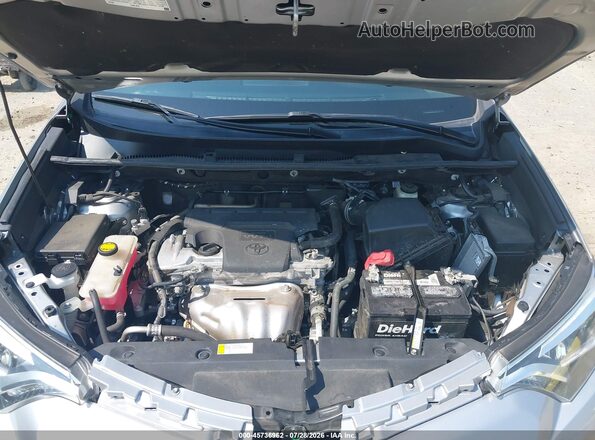 2T3YFREV0HW323157 2017 TOYOTA RAV4 Silver Вид ззаду