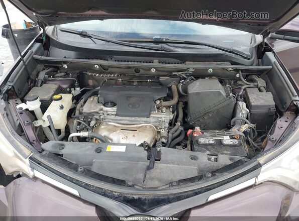 2T3YFREV1JW485725 2018 TOYOTA RAV4 Burgundy Widok z tyłu