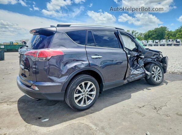 2T3YFREV4HW341029 2017 TOYOTA RAV4 Gray Задня права чверть