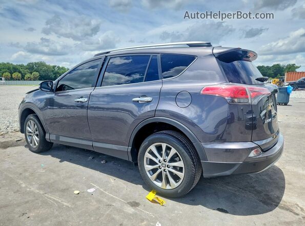 2T3YFREV4HW341029 2017 TOYOTA RAV4 Gray Задня ліва чверть