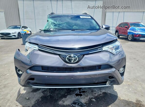 2T3YFREV4HW341029 2017 TOYOTA RAV4 Gray Вид спереду