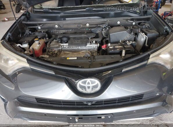 2T3YFREV6JW452252 2018 TOYOTA RAV4 Gray Widok z tyłu