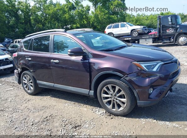2T3YFREV8HW331006 2017 TOYOTA RAV4 Бежевый Вид задней части салона