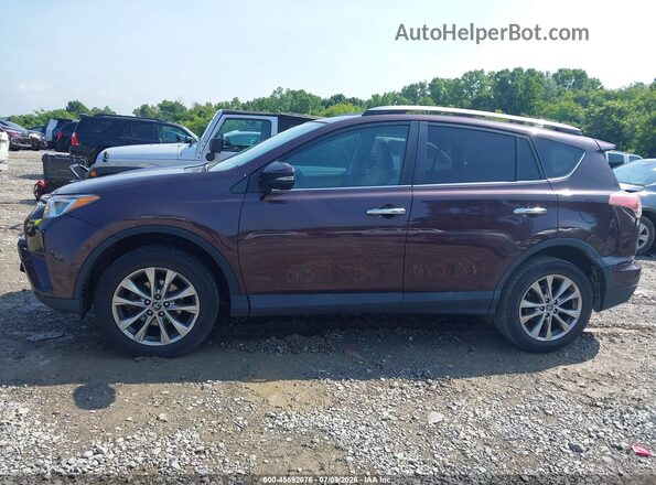 2T3YFREV8HW331006 2017 TOYOTA RAV4 Бежевый Панорамный вид салона 360°