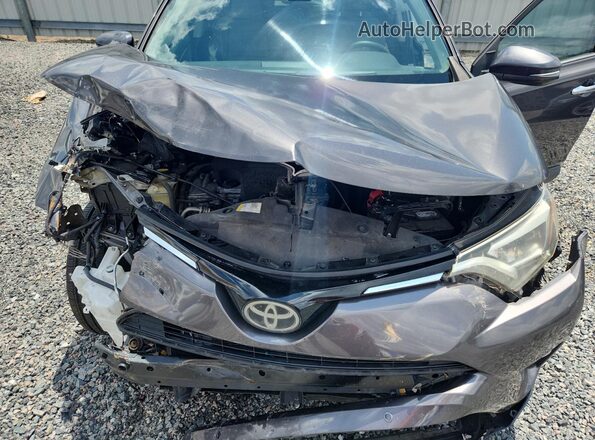 2T3YFREV9GW276855 2016 TOYOTA RAV4 Gray Շարժիչի բաժամունքի տեսք