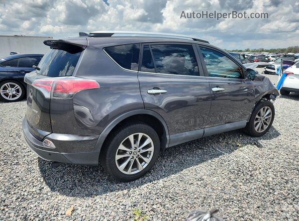 2T3YFREV9GW276855 2016 TOYOTA RAV4 Gray Հետևի աջ