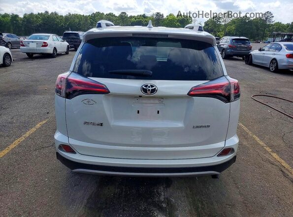 2T3YFREVXGW264102 2016 TOYOTA RAV4 White Widok z tyłu