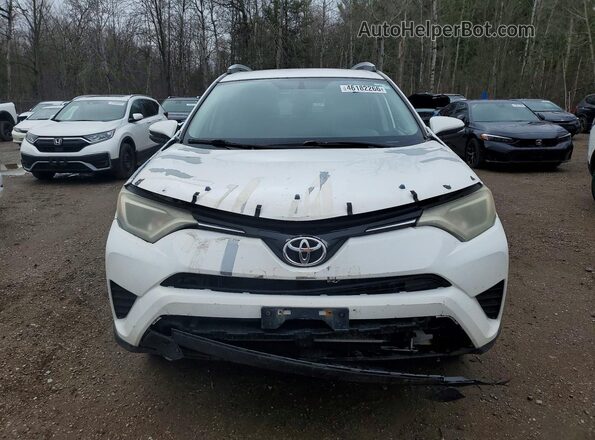 2T3ZFREV9GW243701 2016 TOYOTA RAV4 White Դիմացի տեսք