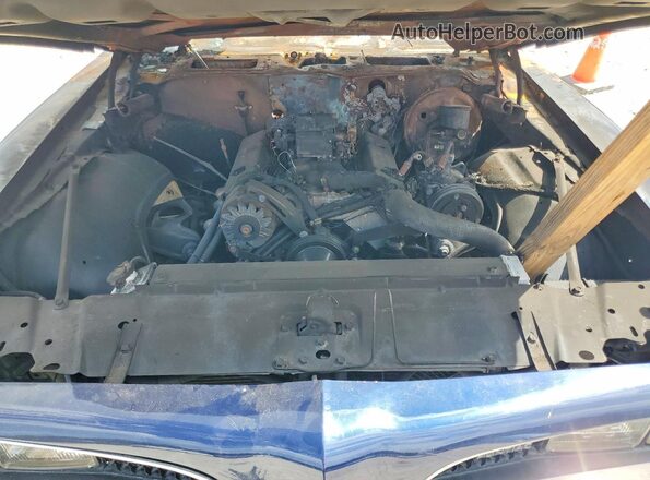 2U87U8N134782 1978 PONTIAC FIREBIRD Blue Սալոնի հետևի տեսք
