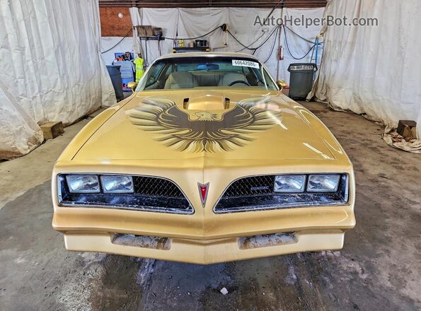 2W87Z8N154049 1978 PONTIAC FIREBIRD Gold Front view