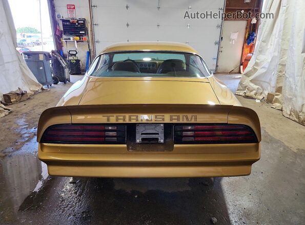 2W87Z8N154049 1978 PONTIAC FIREBIRD Gold Rear view