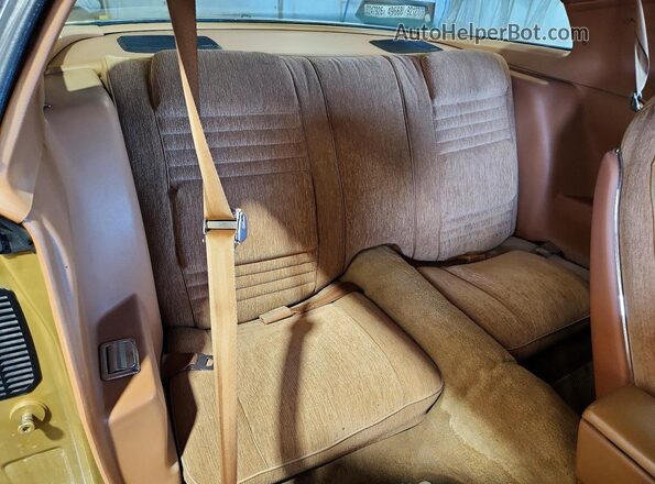 2W87Z8N154049 1978 PONTIAC FIREBIRD Gold Rear seats view