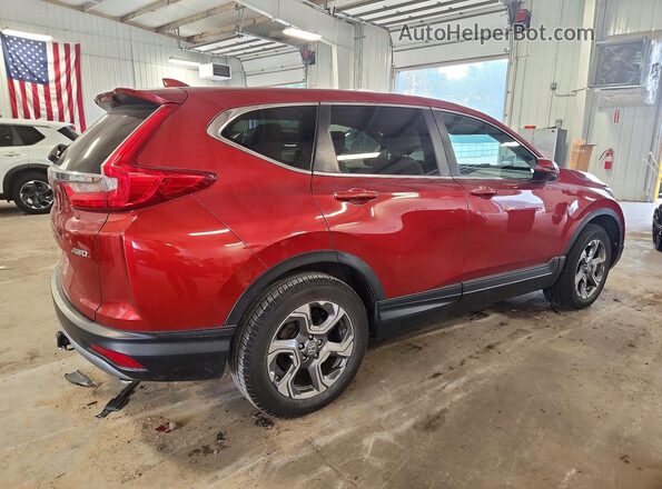 5J6RW2H55HL070986 2017 HONDA CR-V Red Առջևի աջ