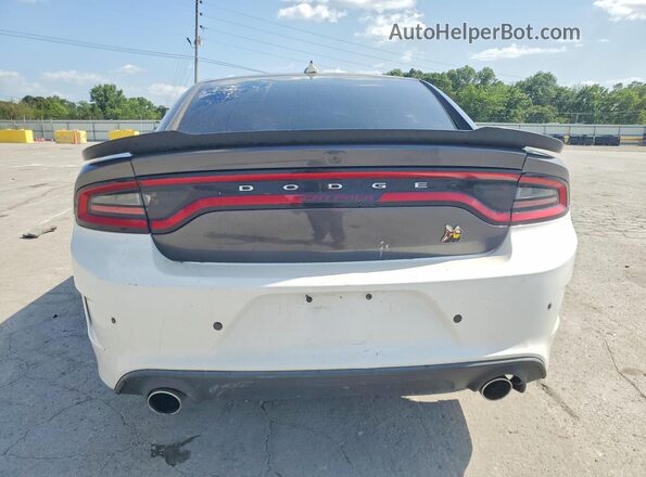 2C3CDXGJ5LH107204 2020 DODGE CHARGER Gray Вид ззаду