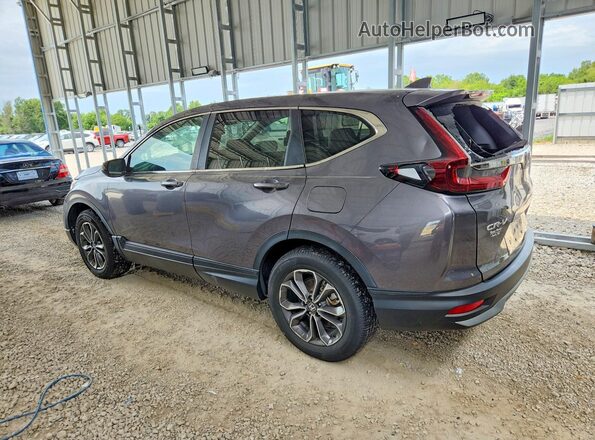 2HKRW2H84LH684795 2020 HONDA CR-V Gray Задня права чверть