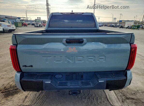 5TFLA5DB5NX035523 2022 TOYOTA TUNDRA Green Vista interior delantera